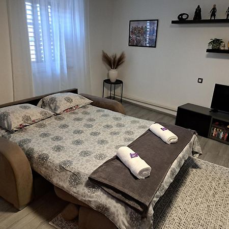 Apartman Darija Pazin Esterno foto