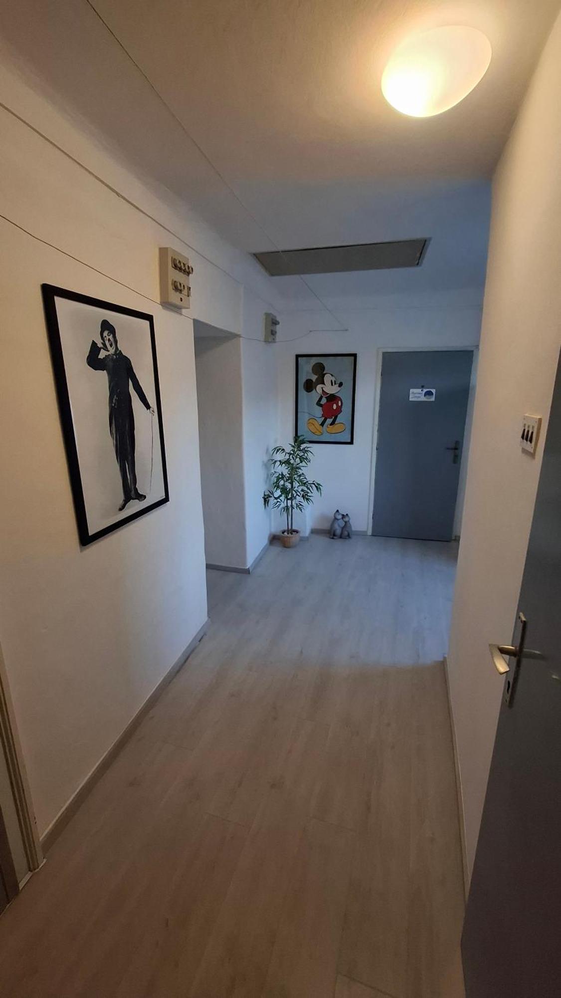 Apartman Darija Pazin Esterno foto